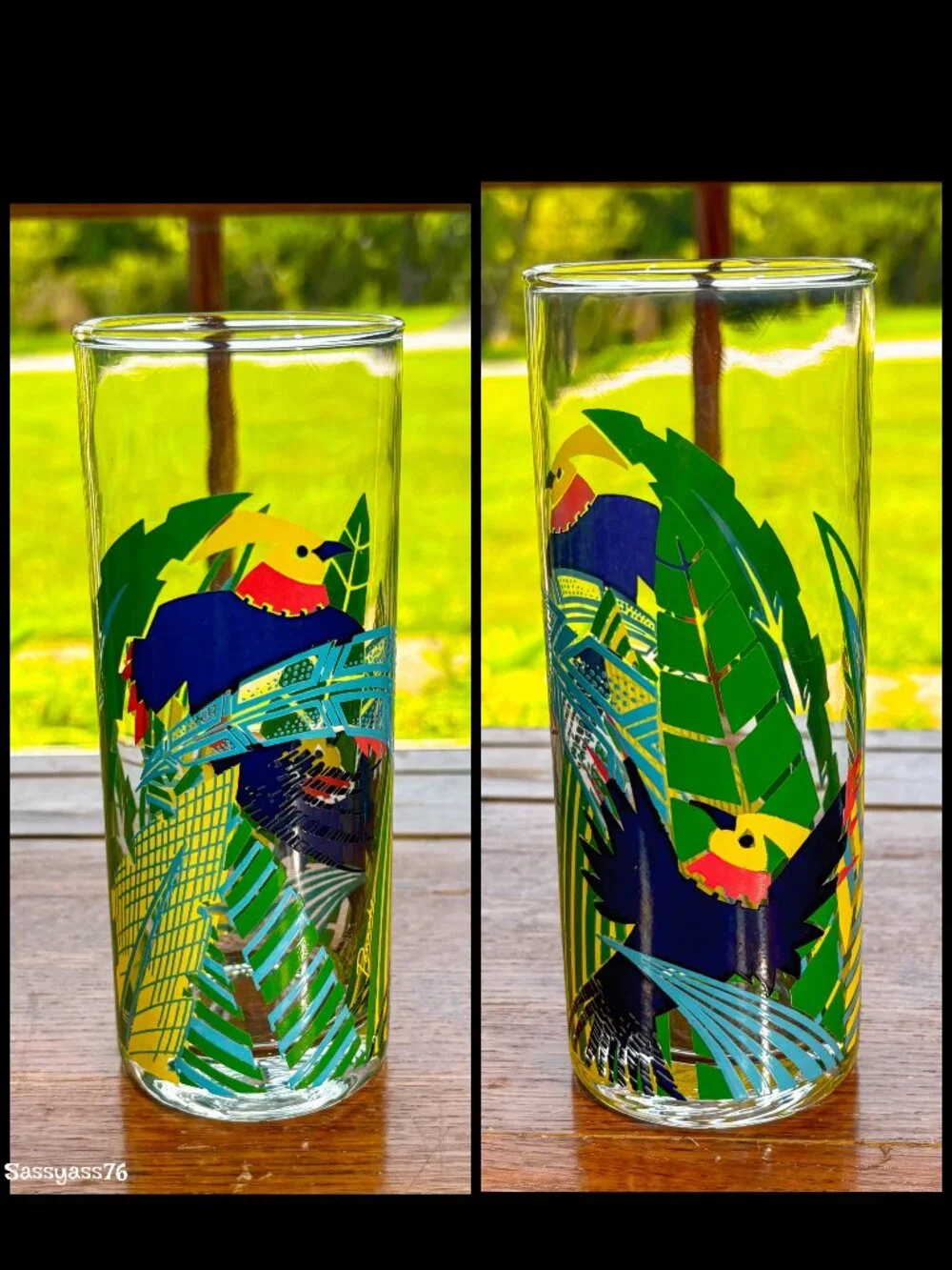 🆕VTG▪️ PANACHE▪️ Set of 6 Tropical Bird 12 oz Tall Tumbler Highball Glasses